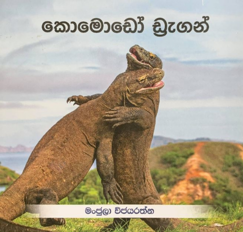 කොමොඩෝ ඩ්‍රැගන් - Comodo Dragon