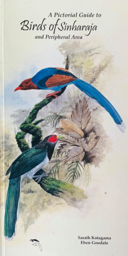 Birds of Sinharaja